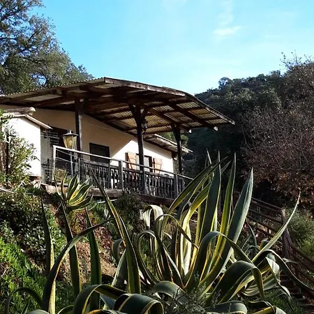 Les Amandiers Sainte-Maxime Extérieur photo